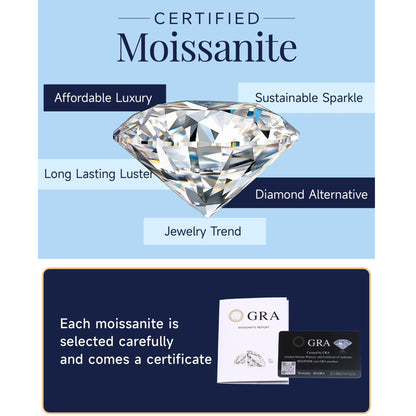 Black Moissanite Stud Earrings for Men, 2Carat Princess Cut Simulated Diamond S925 Sterling Silver Earrings